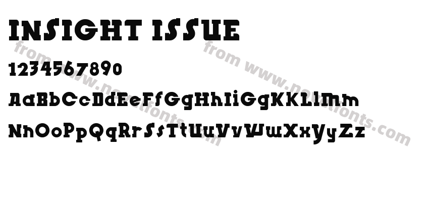 INSIGHT ISSUEPreview
