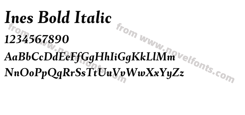 Ines Bold ItalicPreview