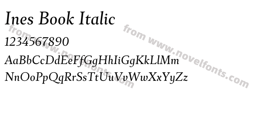 Ines Book ItalicPreview