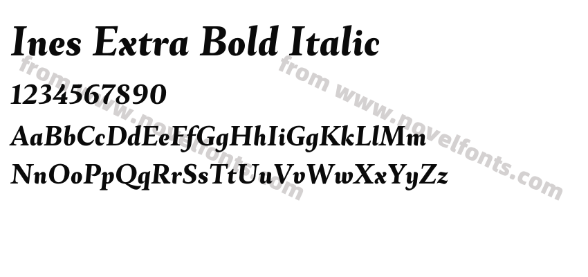 Ines Extra Bold ItalicPreview