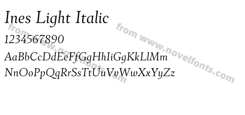 Ines Light ItalicPreview