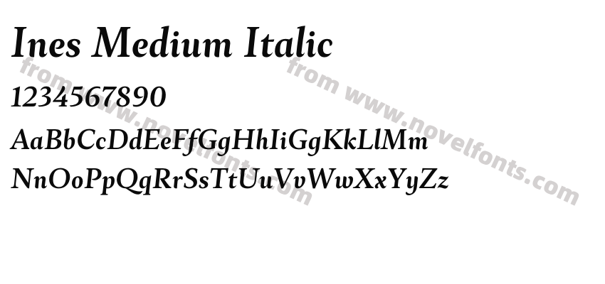 Ines Medium ItalicPreview