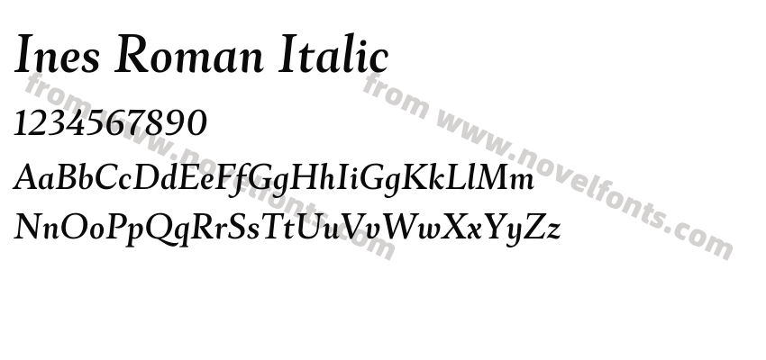 Ines Roman ItalicPreview