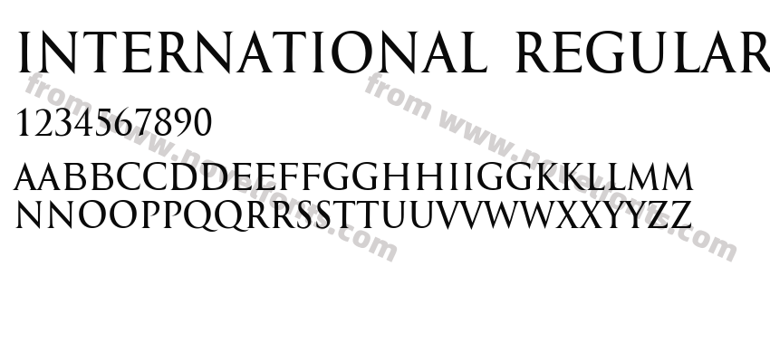 International RegularPreview