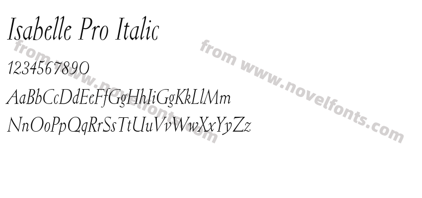 Isabelle Pro ItalicPreview