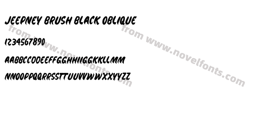 Jeepney Brush Black ObliquePreview
