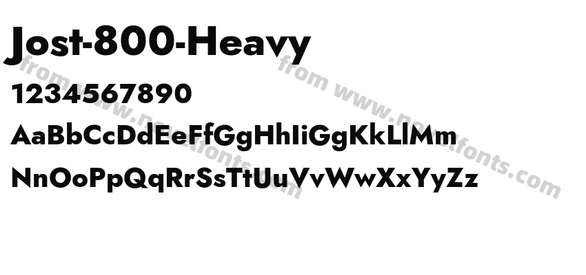 Jost-800-HeavyPreview