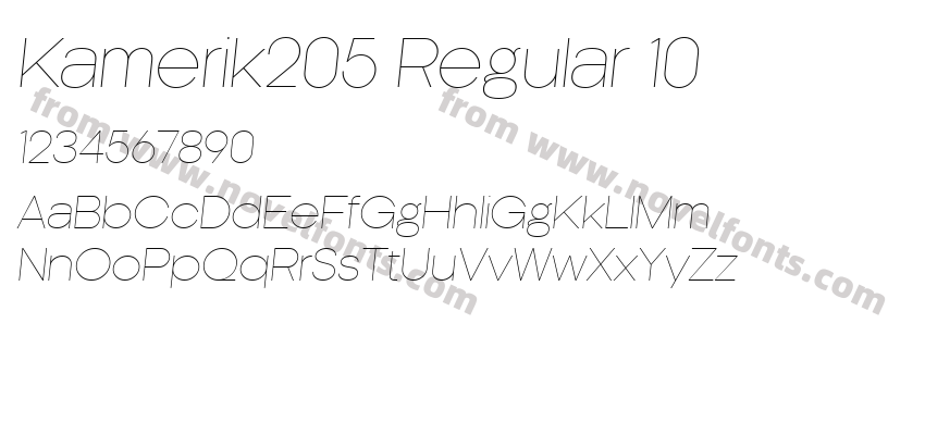 Kamerik205 Regular 10Preview