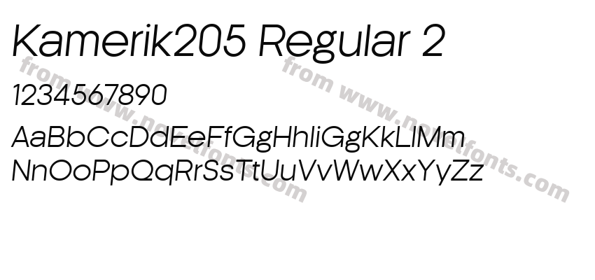 Kamerik205 Regular 2Preview