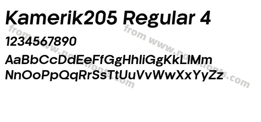 Kamerik205 Regular 4Preview