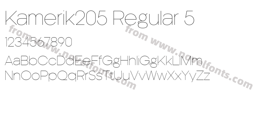 Kamerik205 Regular 5Preview