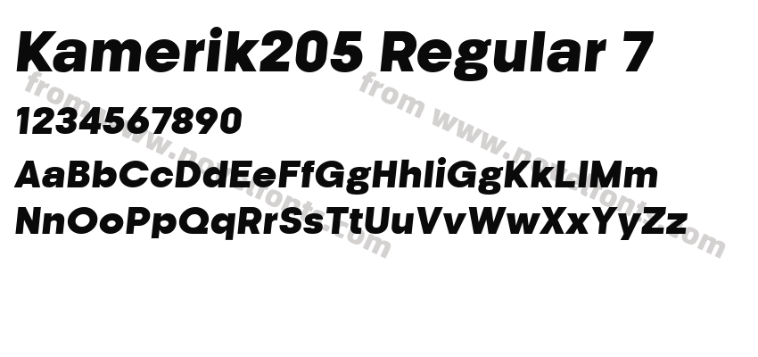 Kamerik205 Regular 7Preview