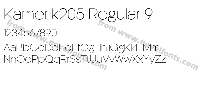 Kamerik205 Regular 9Preview