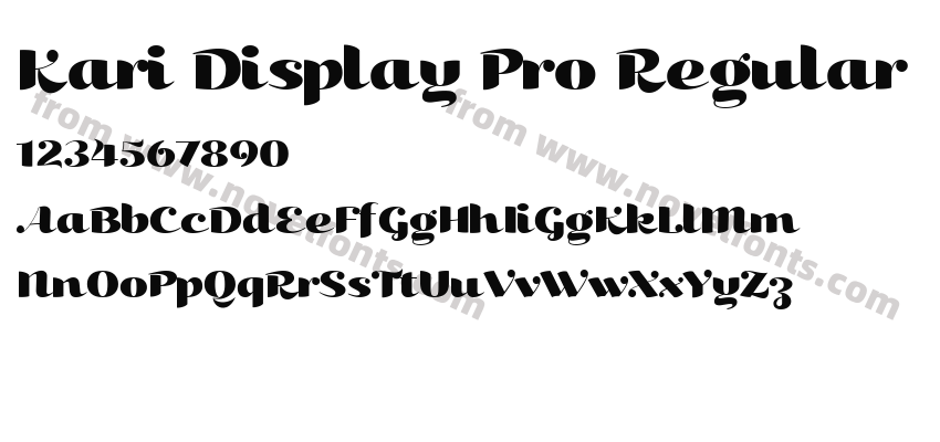 Kari Display Pro RegularPreview