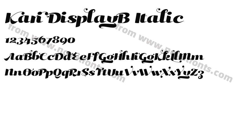 Kari DisplayB ItalicPreview
