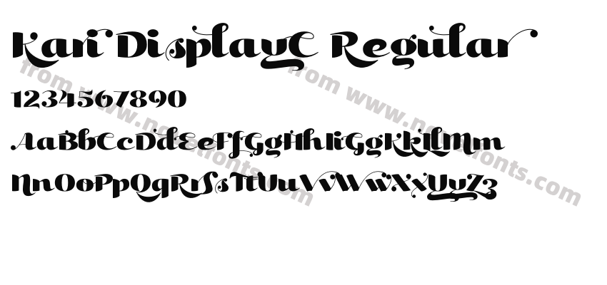 Kari DisplayC RegularPreview