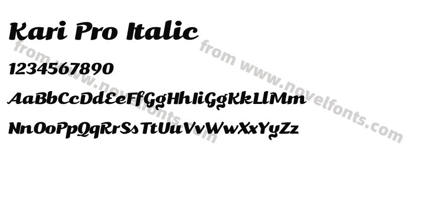 Kari Pro ItalicPreview