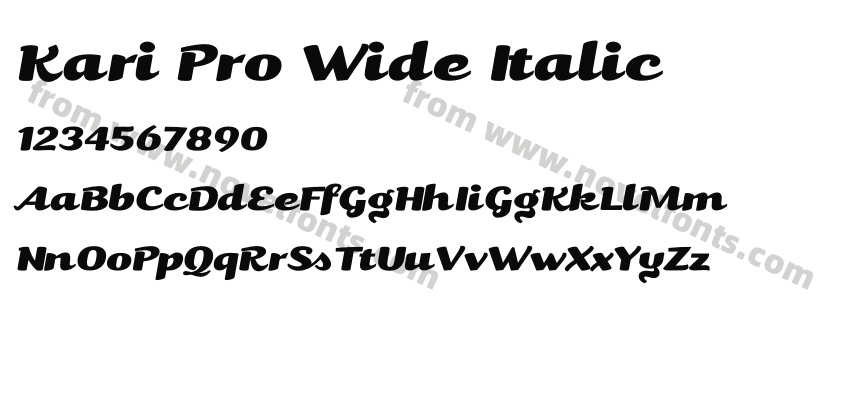Kari Pro Wide ItalicPreview