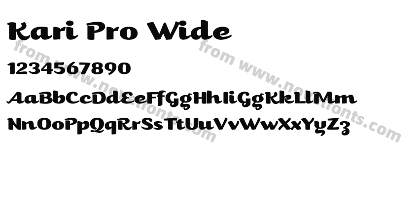 Kari Pro WidePreview
