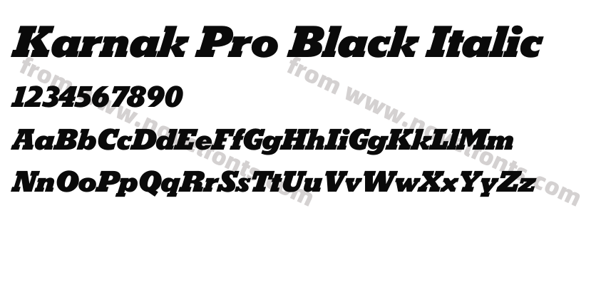 Karnak Pro Black ItalicPreview