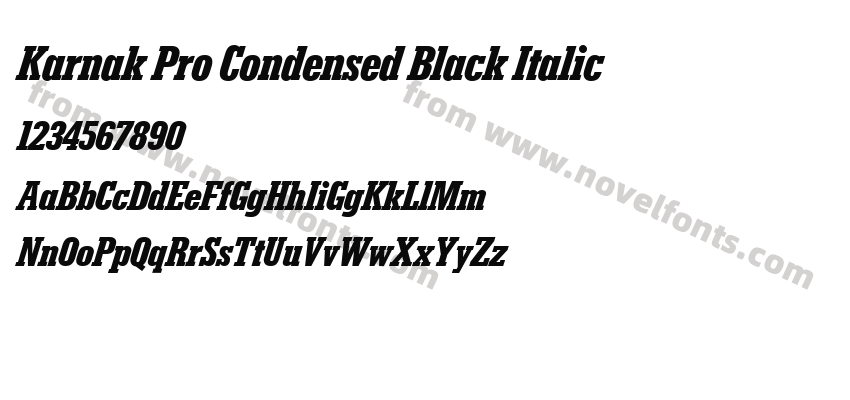 Karnak Pro Condensed Black ItalicPreview