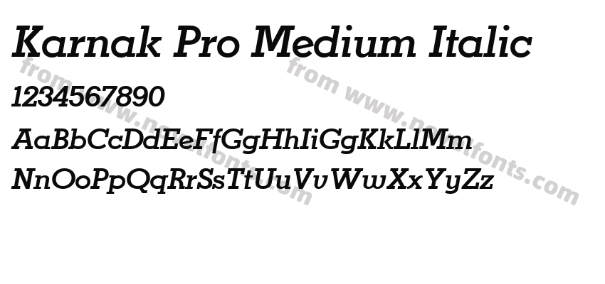 Karnak Pro Medium ItalicPreview