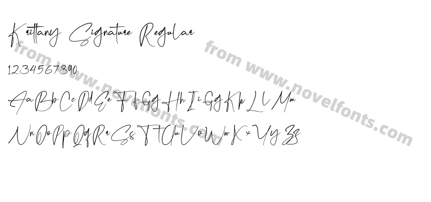 Krittany Signature RegularPreview