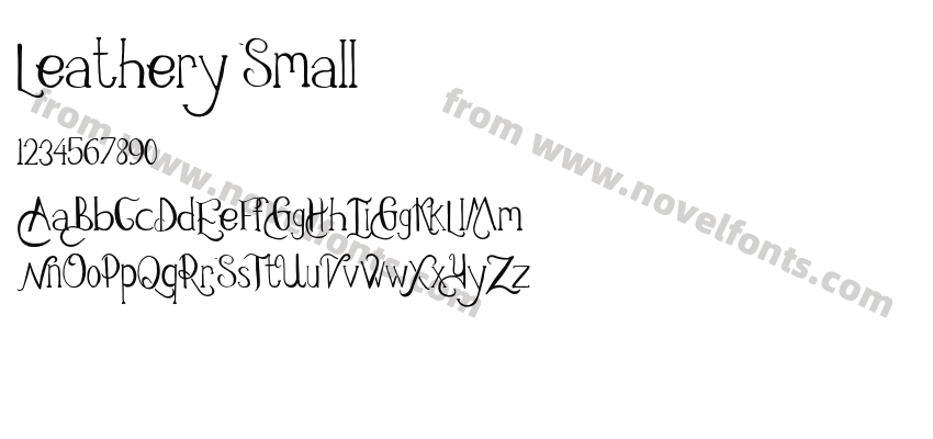 Leathery SmallPreview