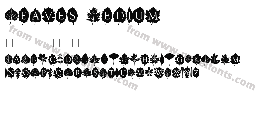 Leaves MediumPreview