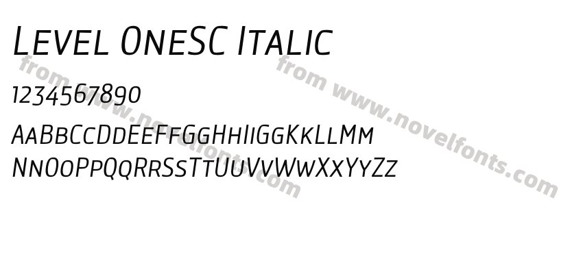 Level OneSC ItalicPreview