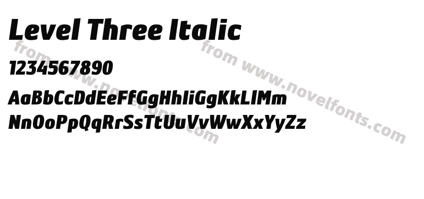Level Three ItalicPreview