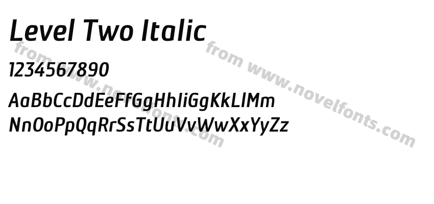 Level Two ItalicPreview