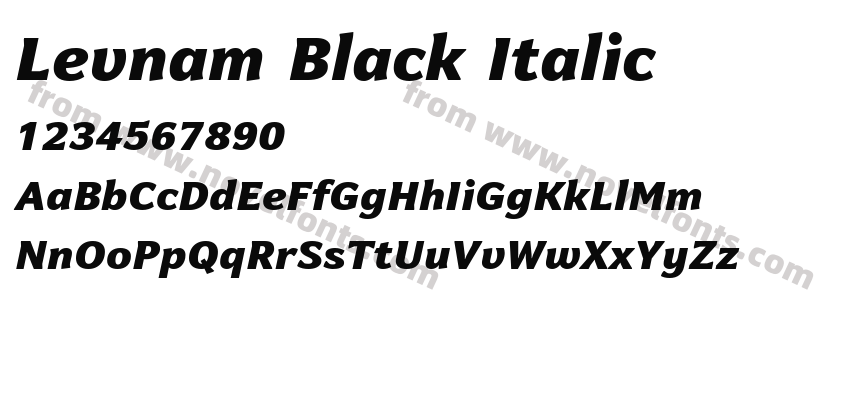 Levnam Black ItalicPreview