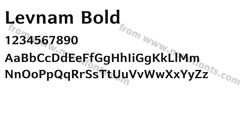 Levnam BoldPreview