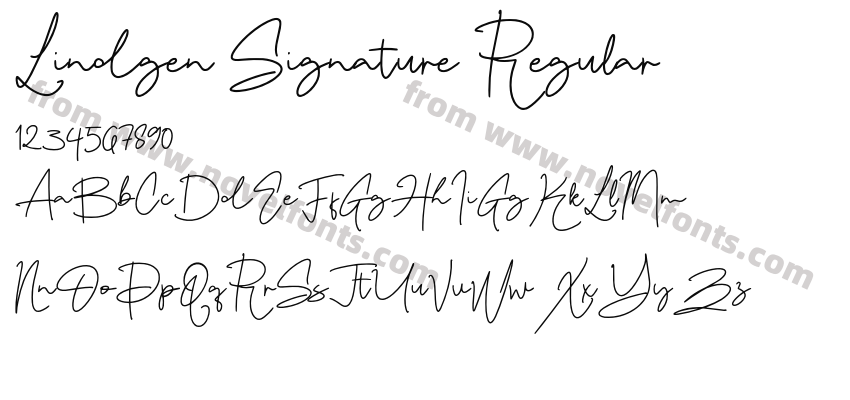 Lindgen Signature RegularPreview