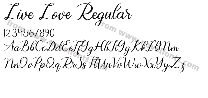 Live Love RegularPreview