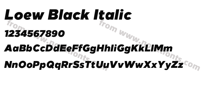Loew Black ItalicPreview