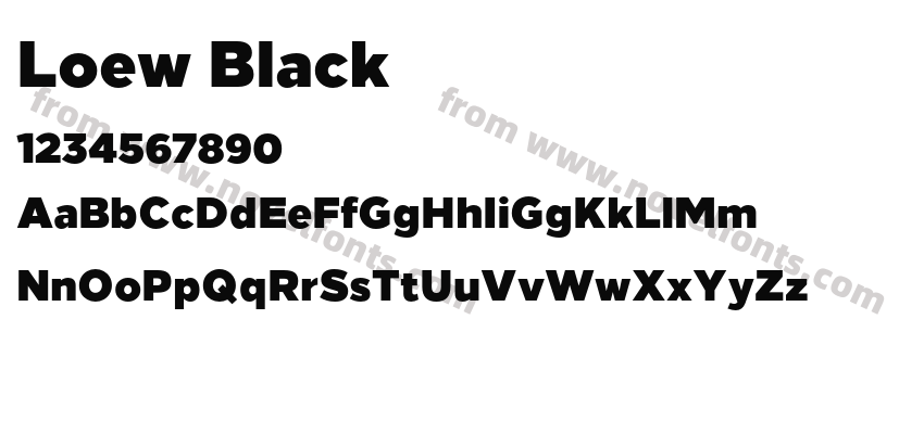 Loew BlackPreview