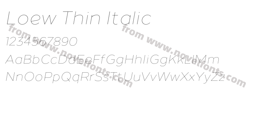 Loew Thin ItalicPreview