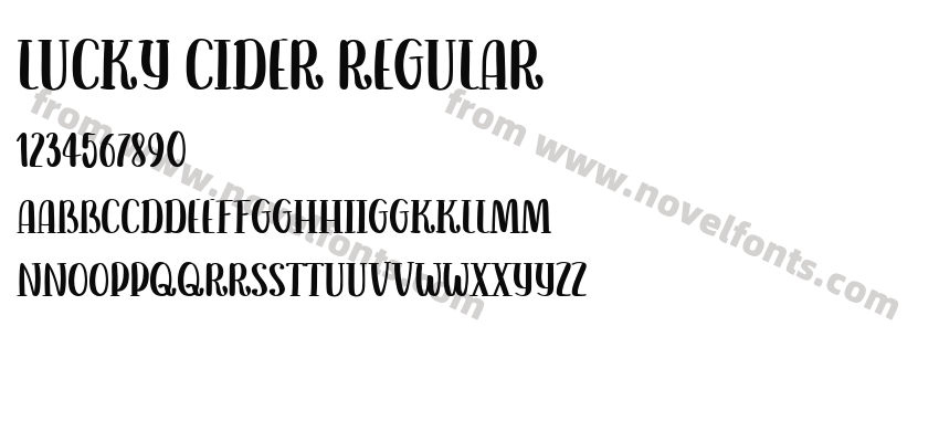 Lucky Cider RegularPreview