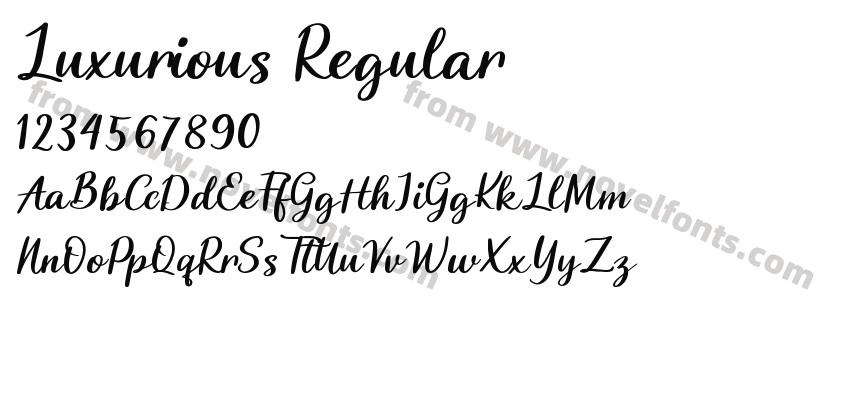 Luxurious RegularPreview