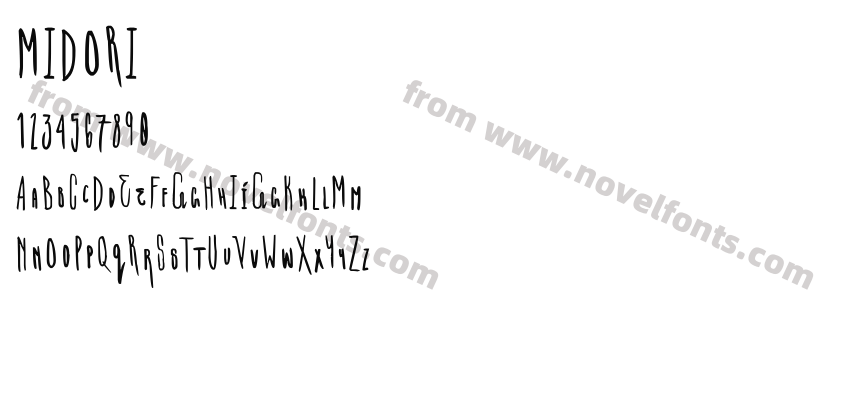 MIDORIPreview