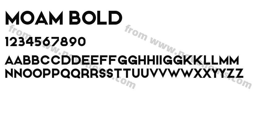 MOAM BoldPreview