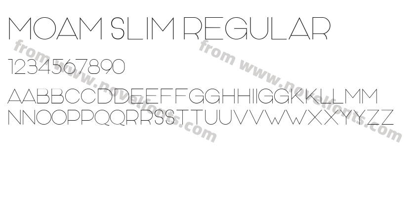 MOAM slim RegularPreview