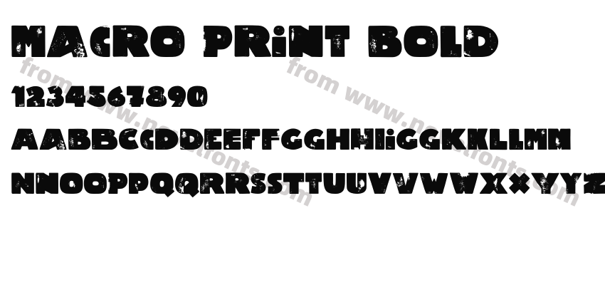 Macro Print BoldPreview