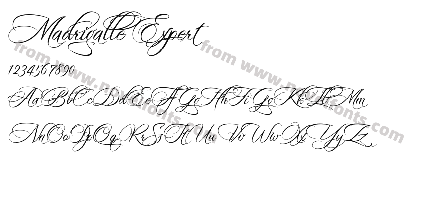 Madrigalle ExpertPreview