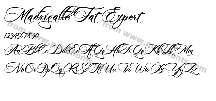 Madrigalle Fat ExpertPreview
