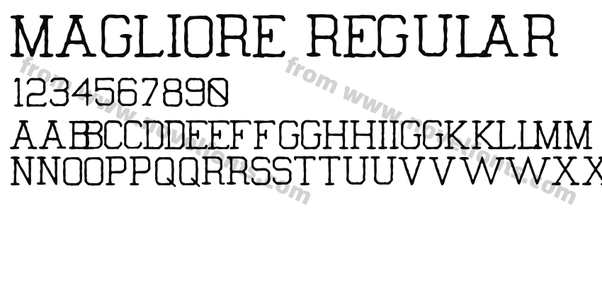 Magliore RegularPreview