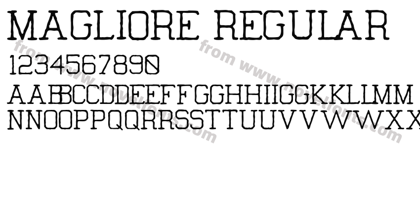 Magliore RegularPreview