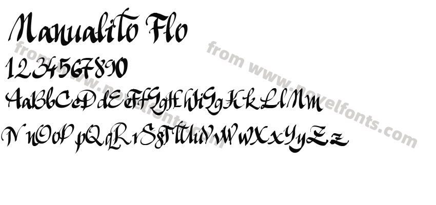 Manualito FloPreview